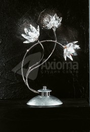 FIORELLA SILBER 29731