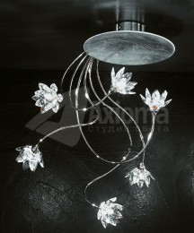 FIORELLA SILBER 29763